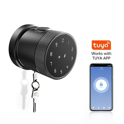 Puerta inteligente de reconocimiento digital electrónico de huellas digitales sin cables de aleación de zinc Cerradura con Tuya App o TTLock App GL-H4